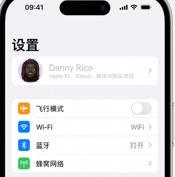 彰武appleID维修服务iPhone设置中Apple ID显示为灰色无法使用 