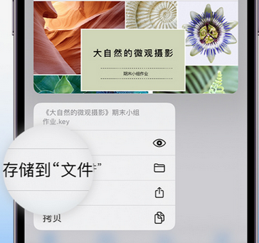 彰武apple维修中心分享iPhone文件应用中存储和找到下载文件