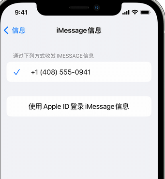 彰武apple维修iPhone上无法正常发送iMessage信息