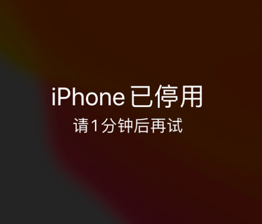 彰武苹果手机维修分享:iPhone 显示“不可用”或“已停用”怎么办？还能保留数据吗？ 