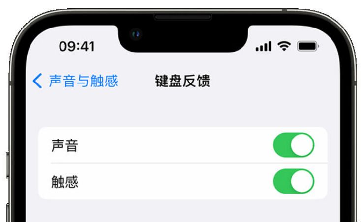 彰武苹果手机维修分享iPhone 14触感键盘使用方法 