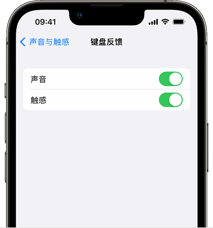 彰武苹果14维修店分享如何在 iPhone 14 机型中使用触感键盘 