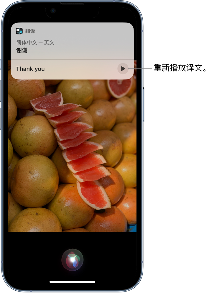 彰武苹果14维修分享 iPhone 14 机型中使用 Siri：了解 Siri 能帮你做什么 