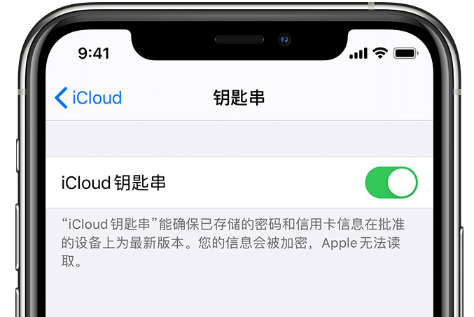 彰武苹果手机维修分享在 iPhone 上开启 iCloud 钥匙串之后会储存哪些信息 