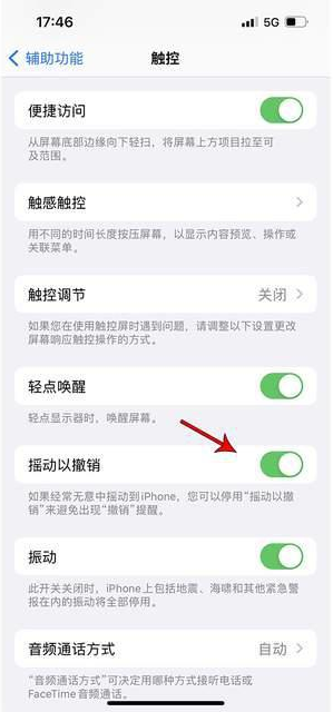 彰武苹果手机维修分享iPhone手机如何设置摇一摇删除文字 