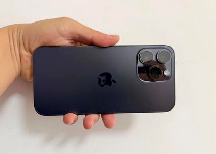 彰武苹果维修点分享iPhone 14 Pro Max黑屏少见故障盘点 